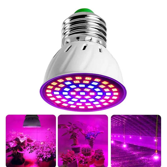 ArtOlo Store Full Spectrum LED Grow Bulb (E27, 60 LEDs) for Greenhouse