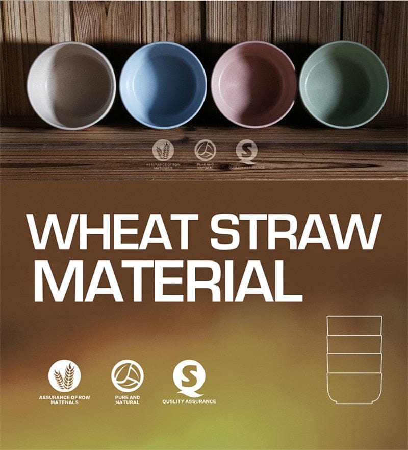 ArtOlo Store Vibrant Eco-Friendly Wheat Fiber Bowls for Kids