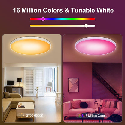 Home Finesse Smart RGB LED Ceiling Light with Voice Control and TUYA App