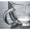 Insulated Clear Glass Mug
