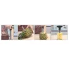 Pineapple Slicer Tool