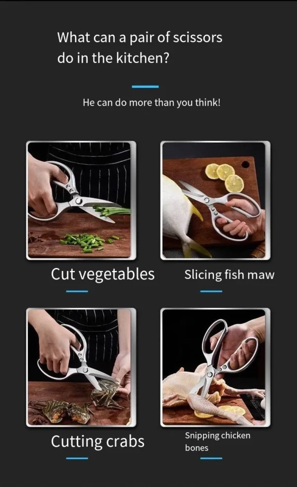 Kitchen Shears Tool