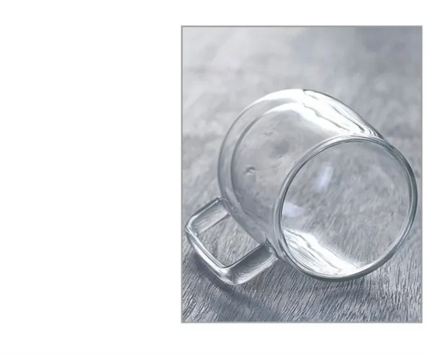 Insulated Clear Glass Mug