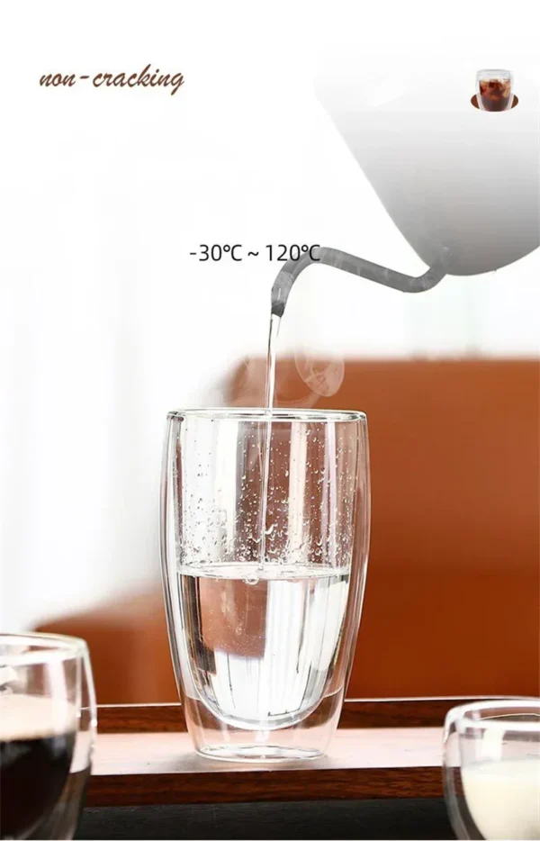 S3959f2f6dc5a47e19be42035eee15c5dJ.webp Double Wall Glass Cup