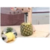 Pineapple Slicer Tool