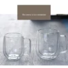 Insulated Clear Glass Mug