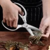 Kitchen Shears Tool