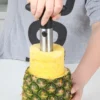 Pineapple Slicer Tool