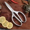 Kitchen Shears Tool
