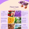 Essential Oil Set