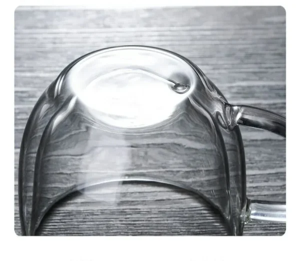 Insulated Clear Glass Mug
