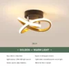 LED Ceiling Light