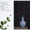 Sb4f13839430349318916a9d8495e7a6fZ.webp Porcelain Decorative Vase