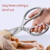 Kitchen Shears Tool
