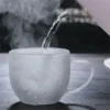 Insulated Clear Glass Mug