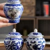 Porcelain Tea Canister