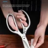 Kitchen Shears Tool