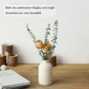 Se0b97d0d0bc64ebe935bc2d3e4e19a3aI.webp Ceramic Vase Set