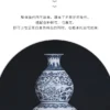 Se98b6b8e9ef041d99c26ee204fb883fel.webp Porcelain Decorative Vase