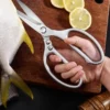 Kitchen Shears Tool