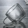 Insulated Clear Glass Mug