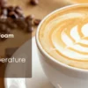 Electric Milk Frother