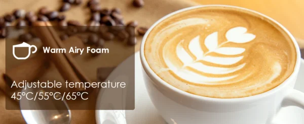Electric Milk Frother