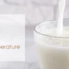 Electric Milk Frother