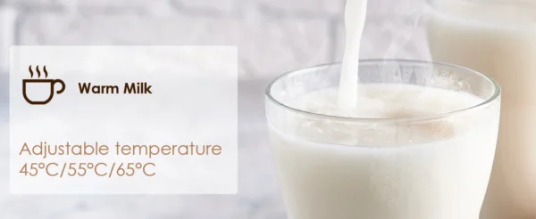 Electric Milk Frother