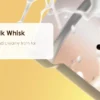 Electric Milk Frother