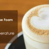 Electric Milk Frother