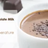 Electric Milk Frother