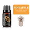 Fruit Fragrance Oil Set