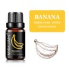 Fruit Fragrance Oil Set