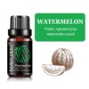 Fruit Fragrance Oil Set