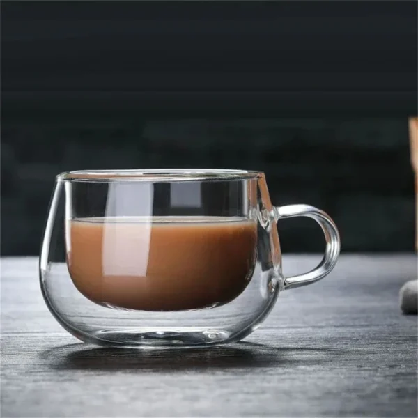 Double Wall Borosilicate Mug