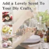 Fragrance Oil Set
