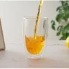 Double Wall Glass Cup