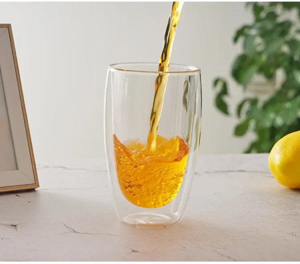 Double Wall Glass Cup