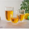 Double Wall Glass Cup