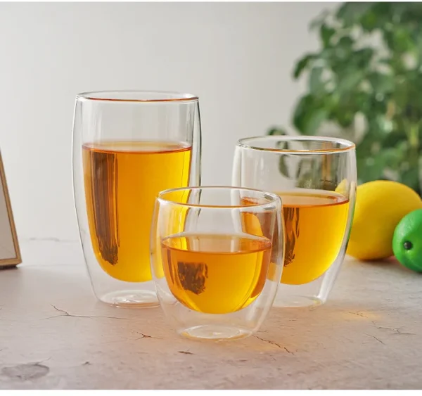 Double Wall Glass Cup