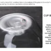 Double Wall Glass Cup