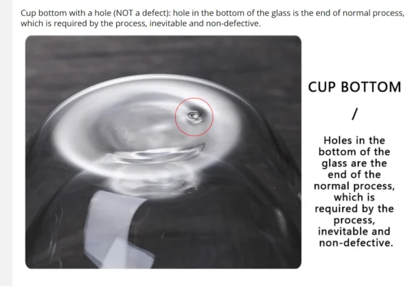 Double Wall Glass Cup