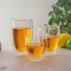 Double Wall Glass Cup