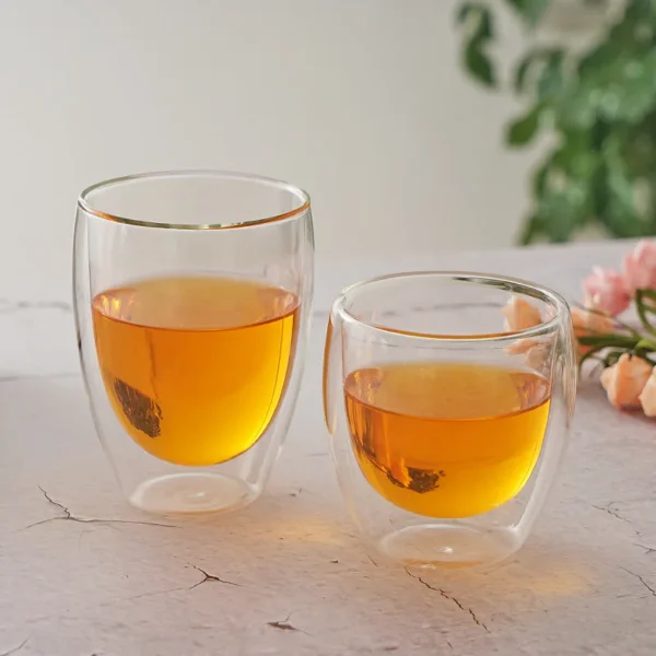Double Wall Glass Cup