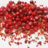 Mixed Czech Glass Seed Beads
