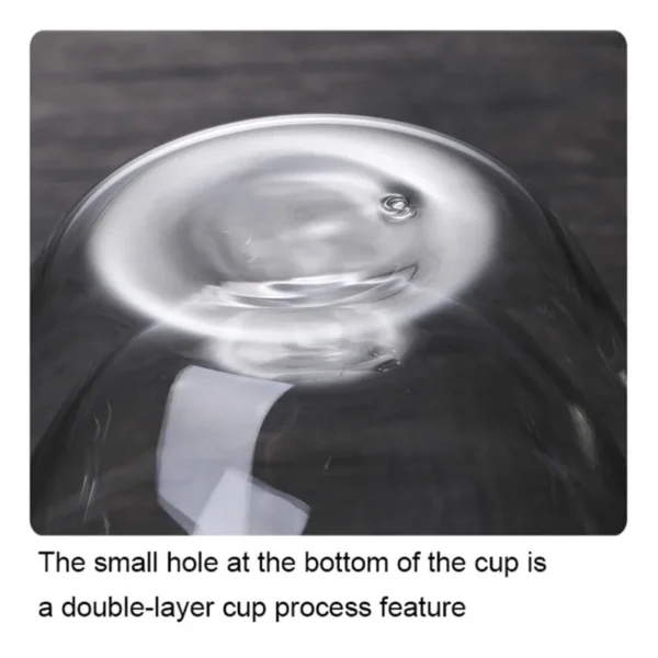 Double Wall Glass Cup