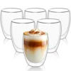 Double Wall Borosilicate Glass Cup Set