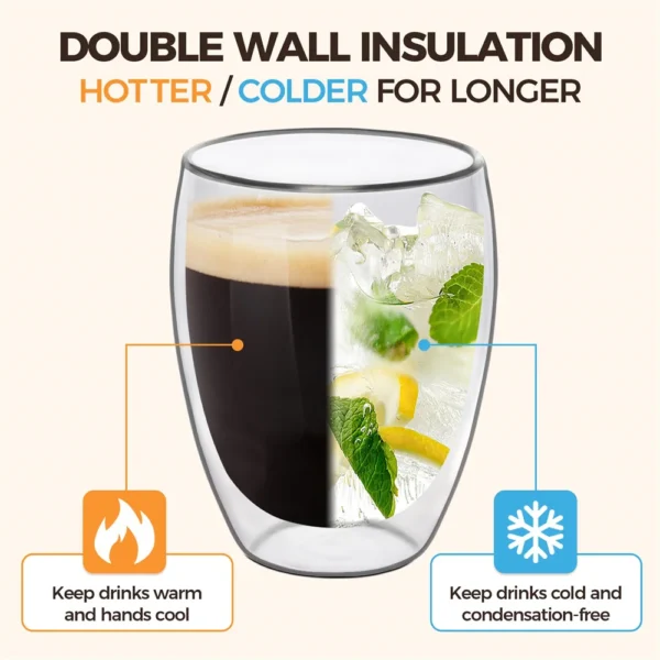 Double Wall Borosilicate Glass Cup Set