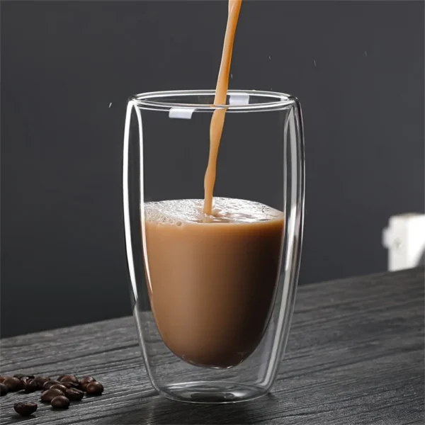 Double Wall Borosilicate Glass Cup Set